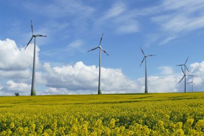 淄博万康医药化工有限公司成立于2002年